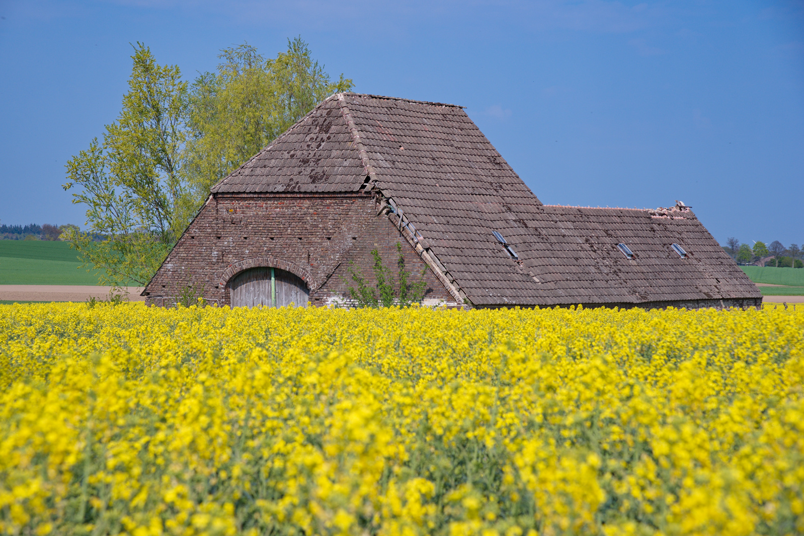 Resthof im Raps 