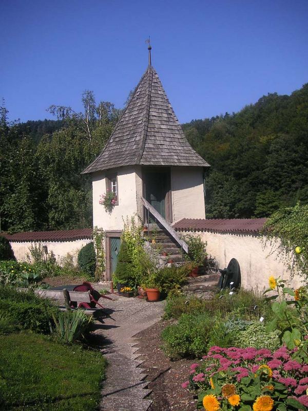 resting in black forest