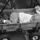 Resting in the Radio Flyer....