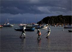 Restless Fishermen