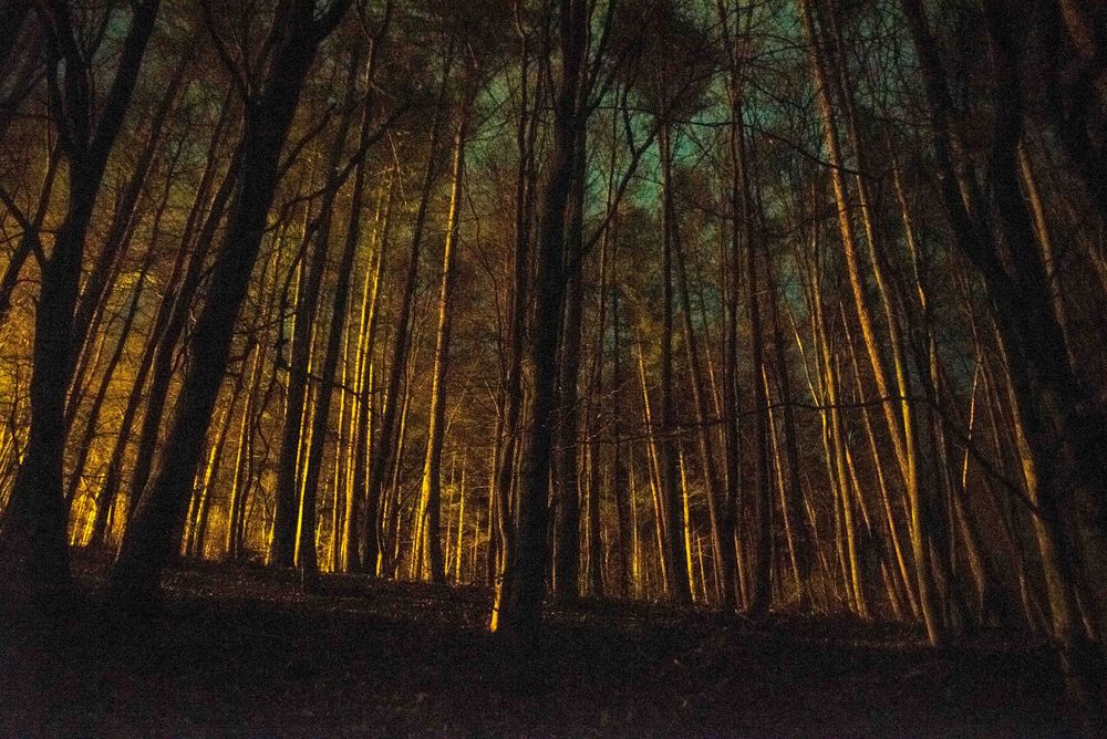 Restlicht im Wald beim Osterfeuers in Attendorn