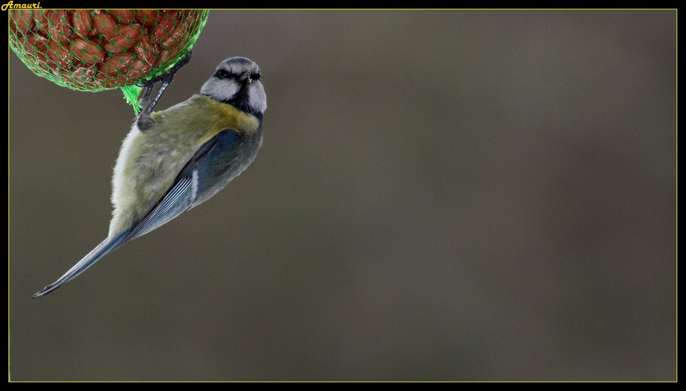 Resto du coeur version Jardin