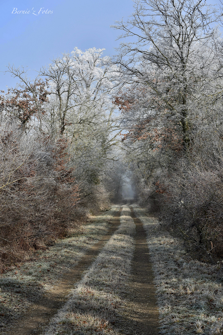 Restons sur le chemin