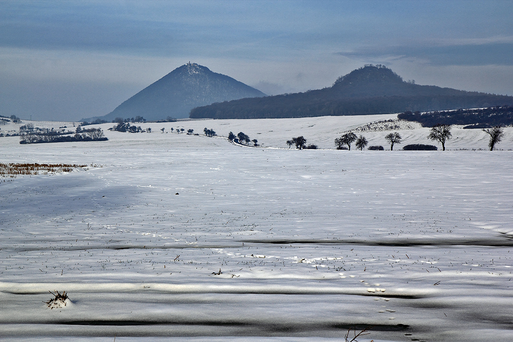 Restschnee im kalten Nebel beim Millischauer und seinem "Trabanten" dem Ostry