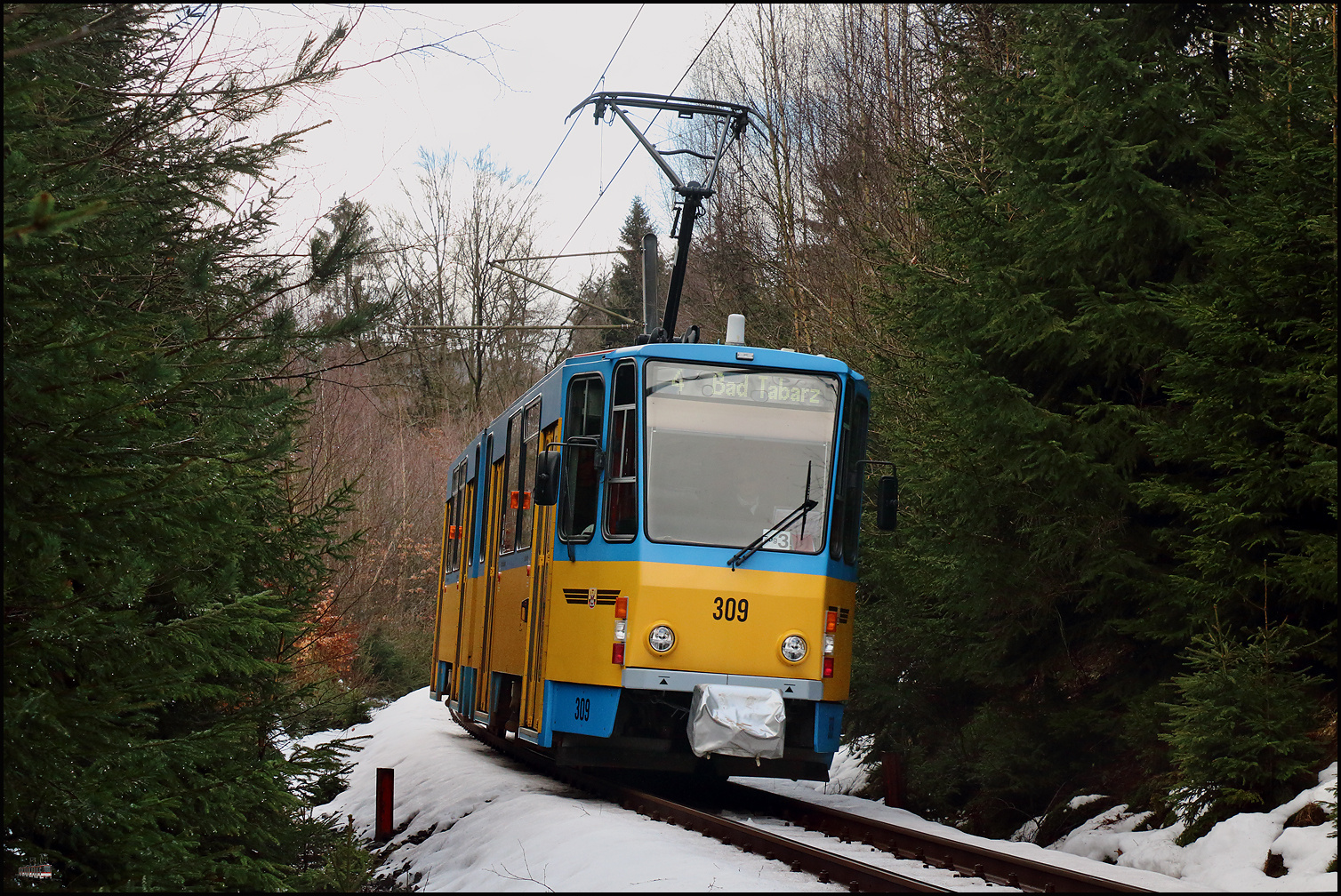 Restschnee im Thüringer Wald