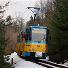 Restschnee im Thüringer Wald