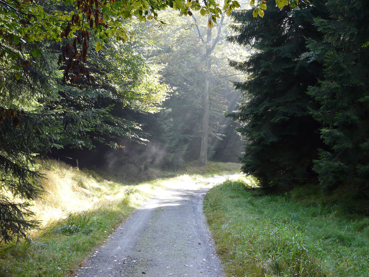 Restwärme der Sonne am Morgen