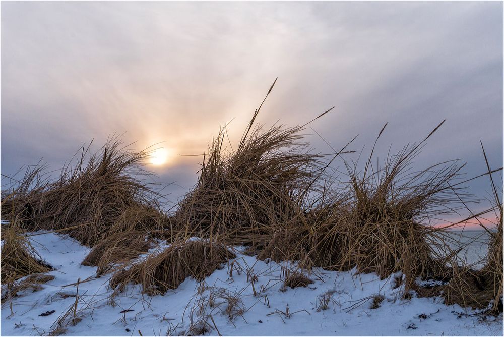 Restwinter im Februar...