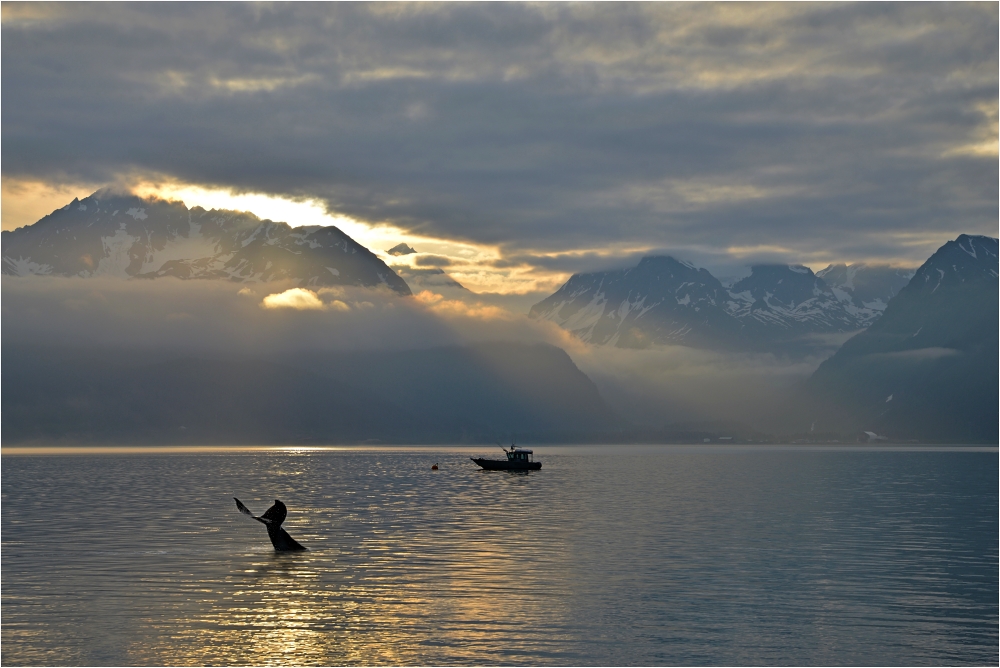 Resurrection Bay at 5.00 am