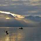 Resurrection Bay at 5.00 am