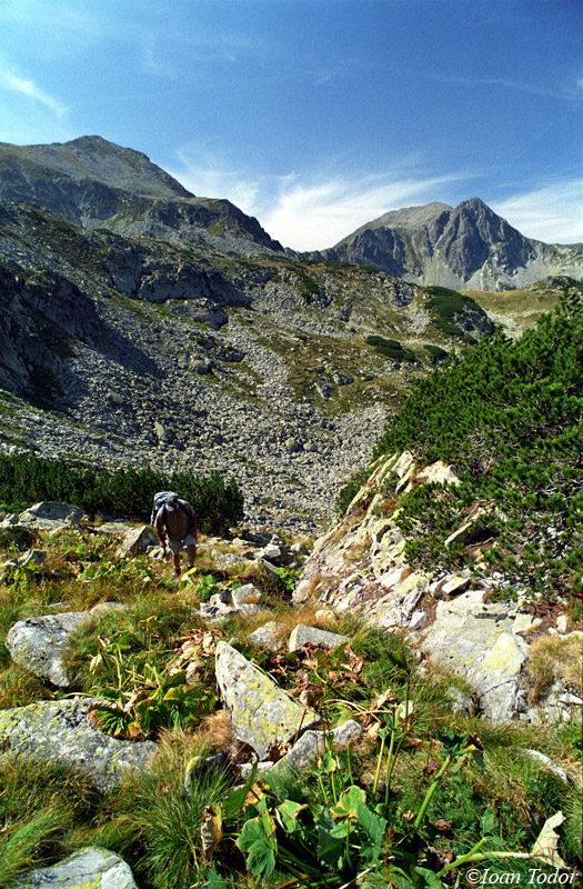 Retezat PanPark Mountain