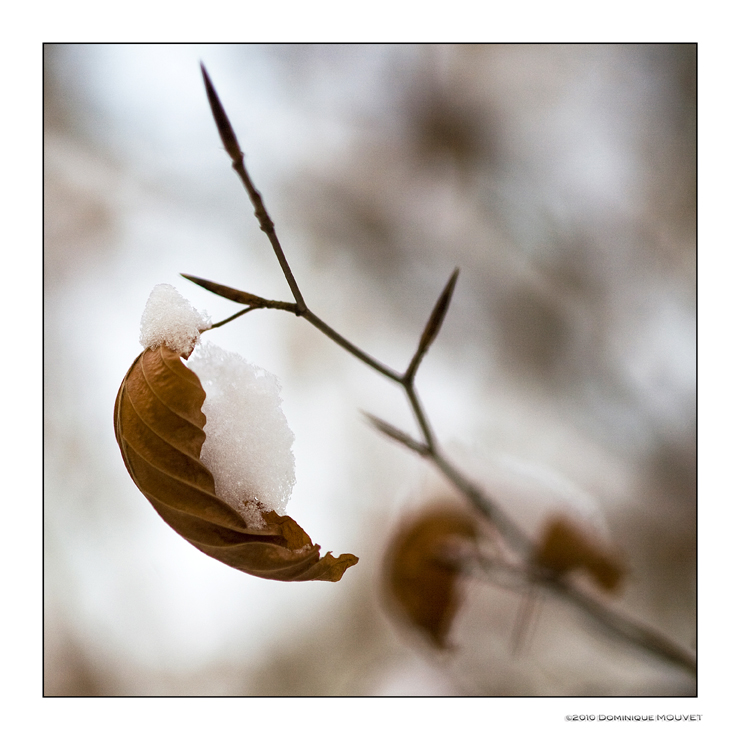 retiens...la neige...