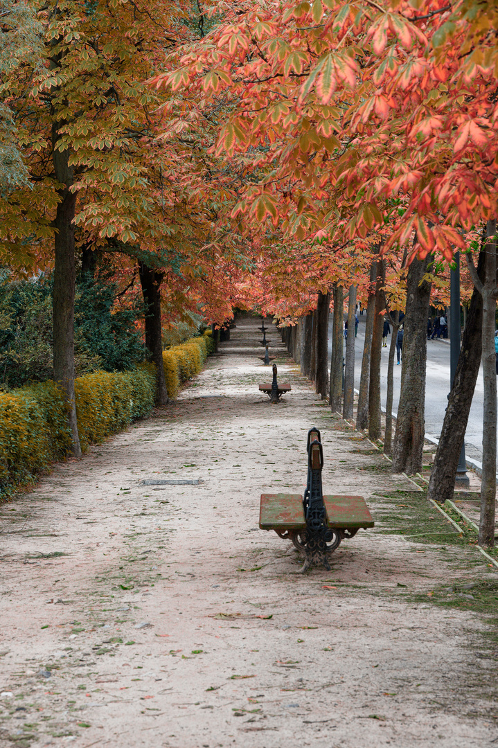 Retiro Park