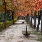 Retiro Park