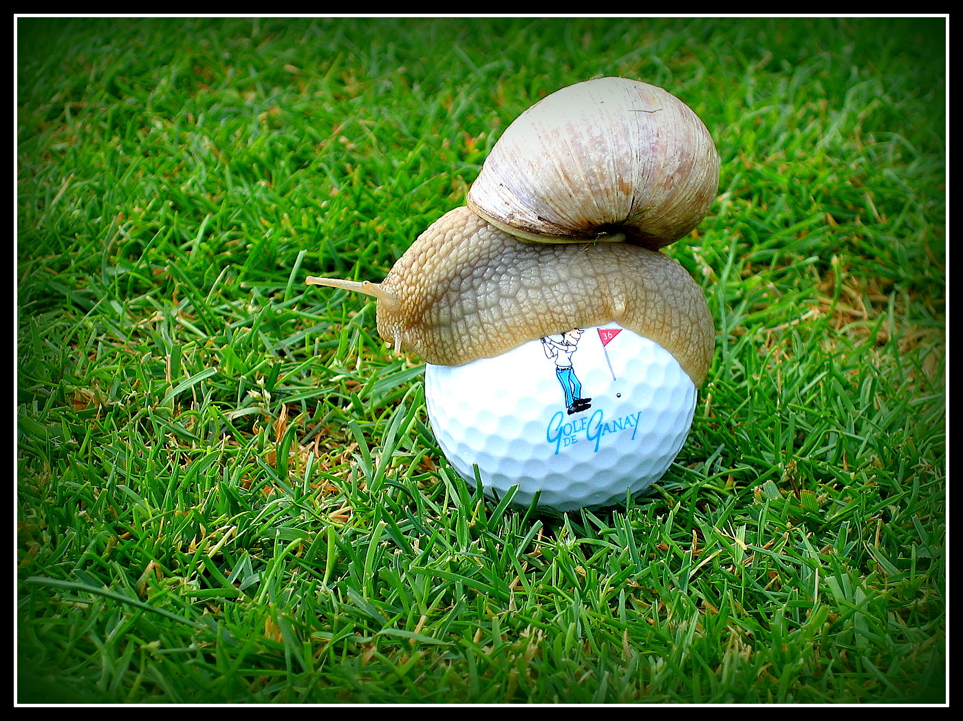 Retour à CABOURG - 16-