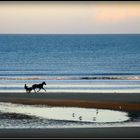 Retour à CABOURG - 19 -