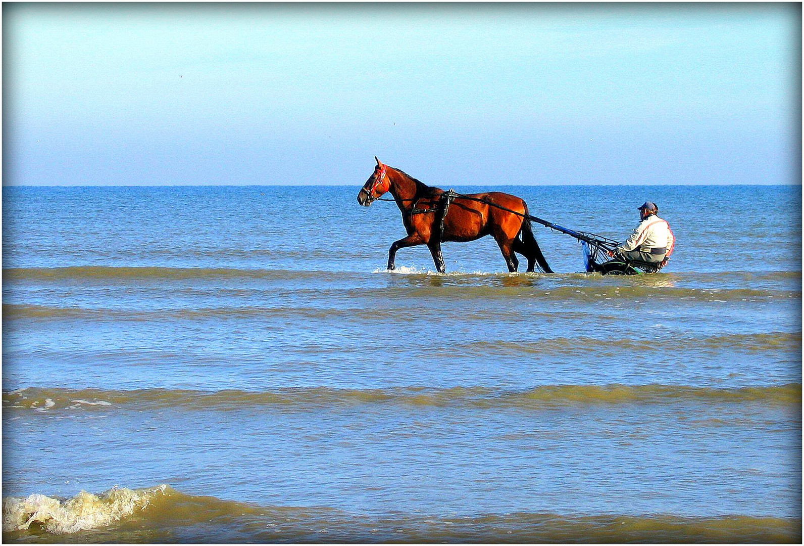 Retour à CABOURG - 50 -