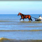 Retour à CABOURG - 50 -