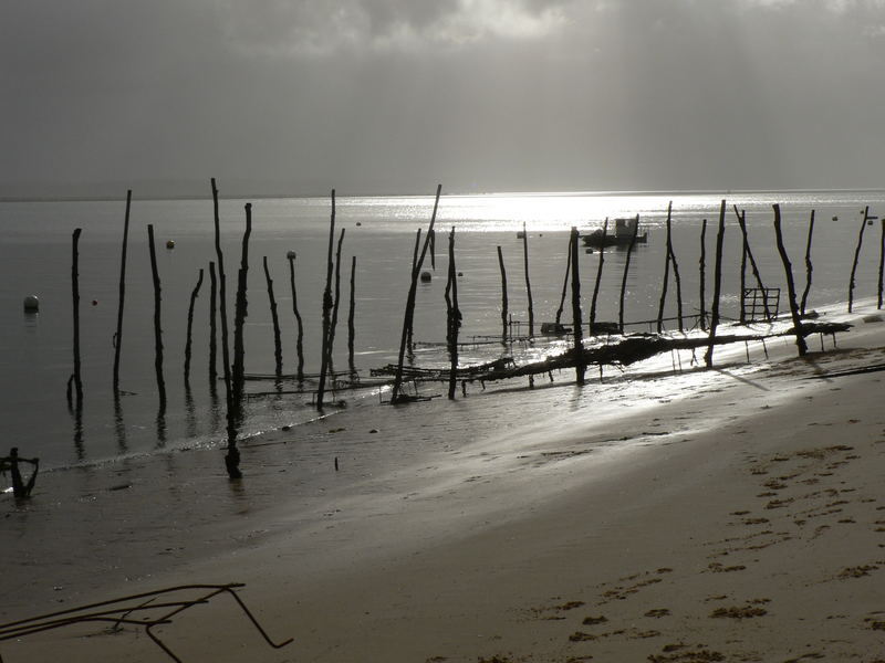 Retour à terre