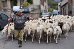 Retour au bercail