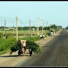 RETOUR - AU - MONDE - HABITE