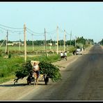 RETOUR - AU - MONDE - HABITE