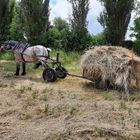 Retour au technique ancienne 