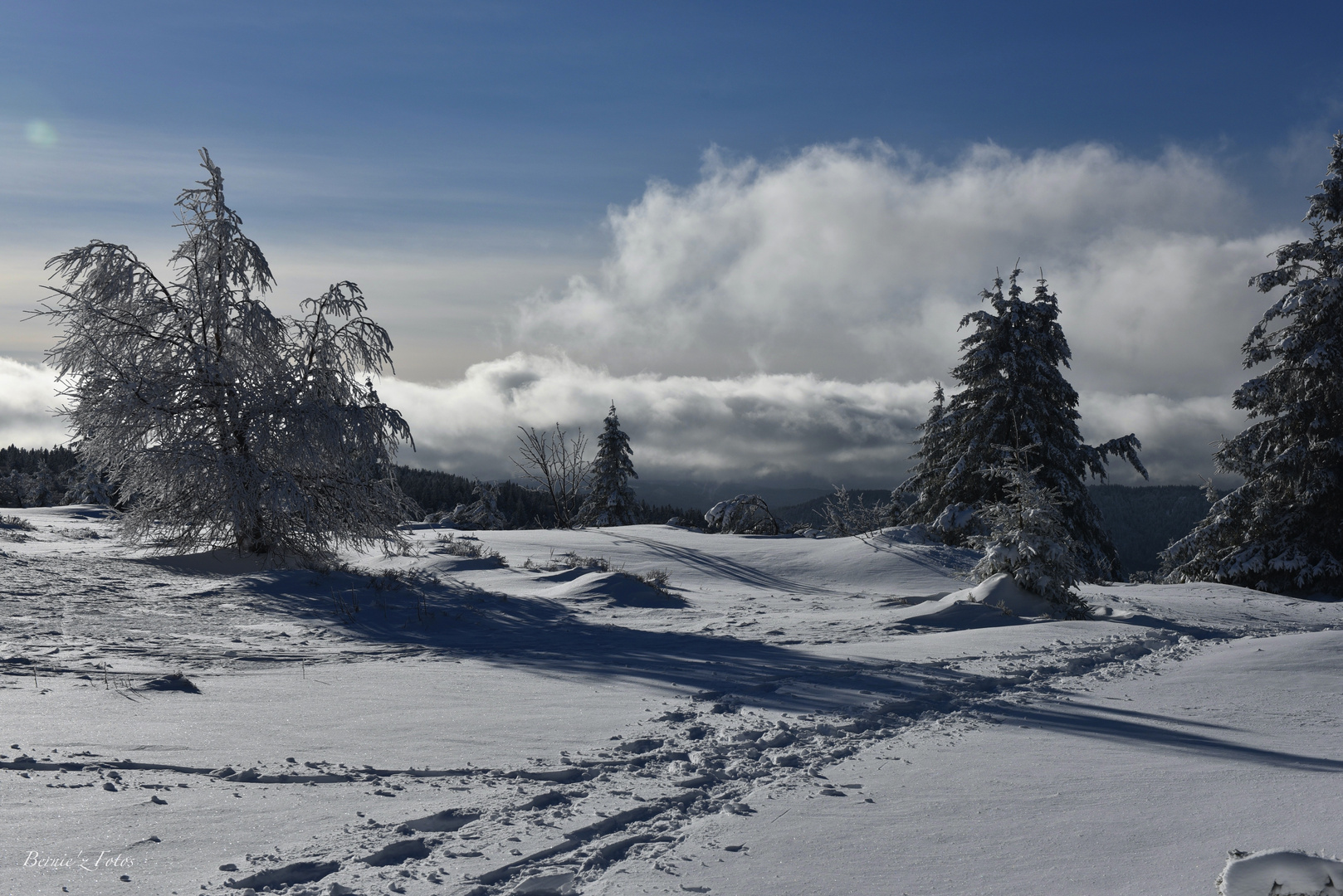 Retour de la neige