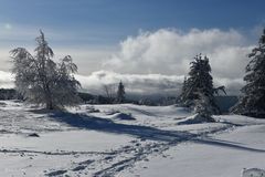 Retour de la neige