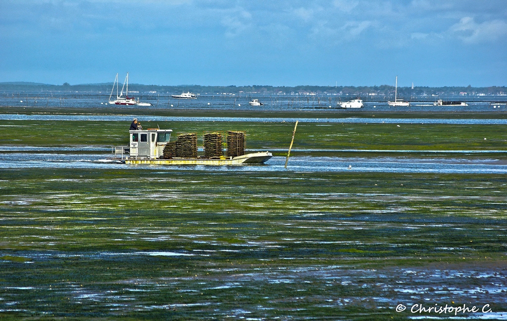 Retour de Marée ... La Teste de Buch (Port du rocher)