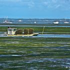 Retour de Marée ... La Teste de Buch (Port du rocher)