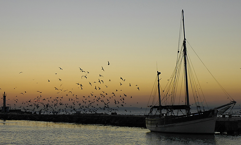 retour de pêche