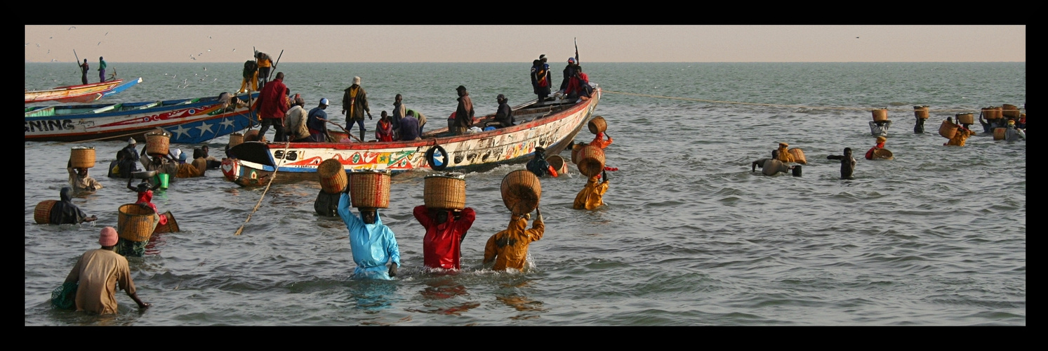 Retour de pêche 2