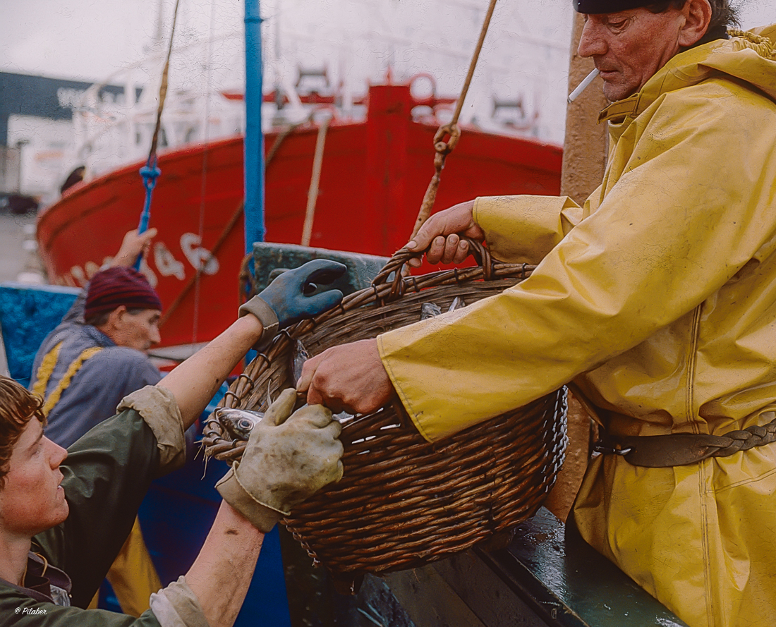 Retour de pêche