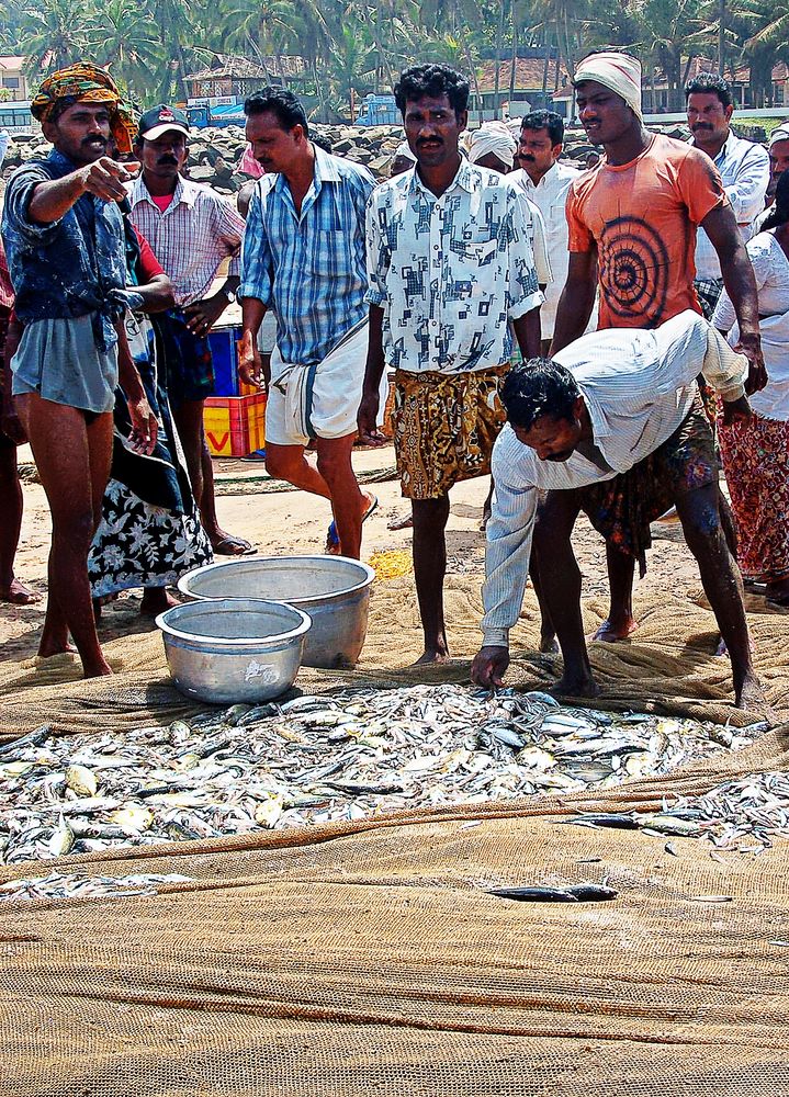 retour de pêche à Covelong