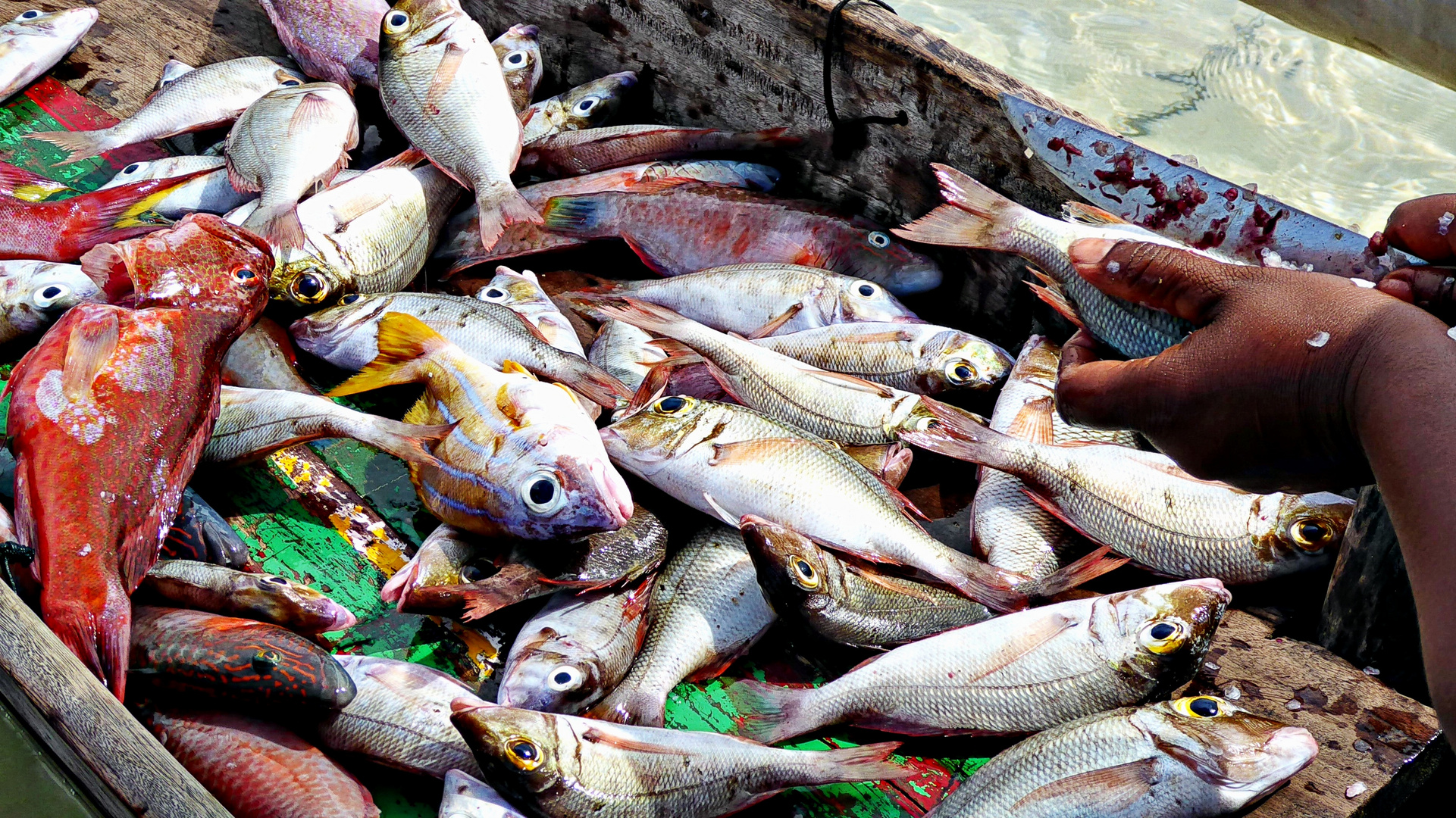 retour de pêche à nosy iranja (2)