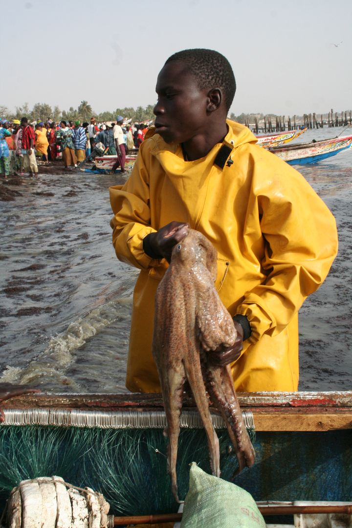 Retour de pêche