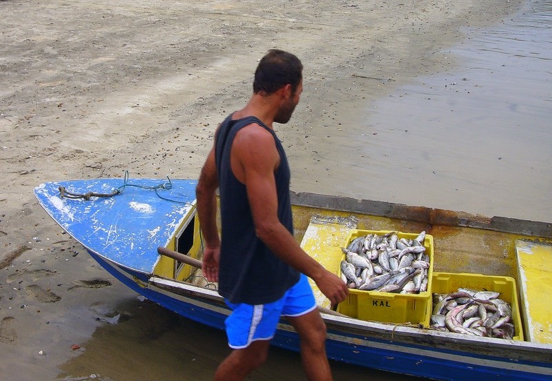 retour de pêche