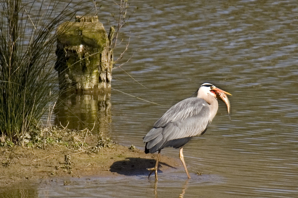 Retour de pêche