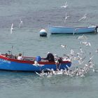 Retour de pêche