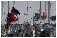 " Retour de pêche d'un petit caseyeur à Port la Forêt "