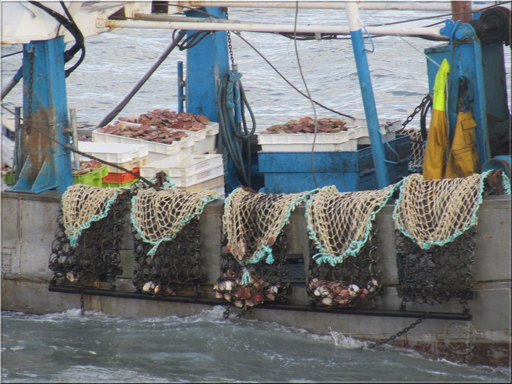 ..Retour de pêche..