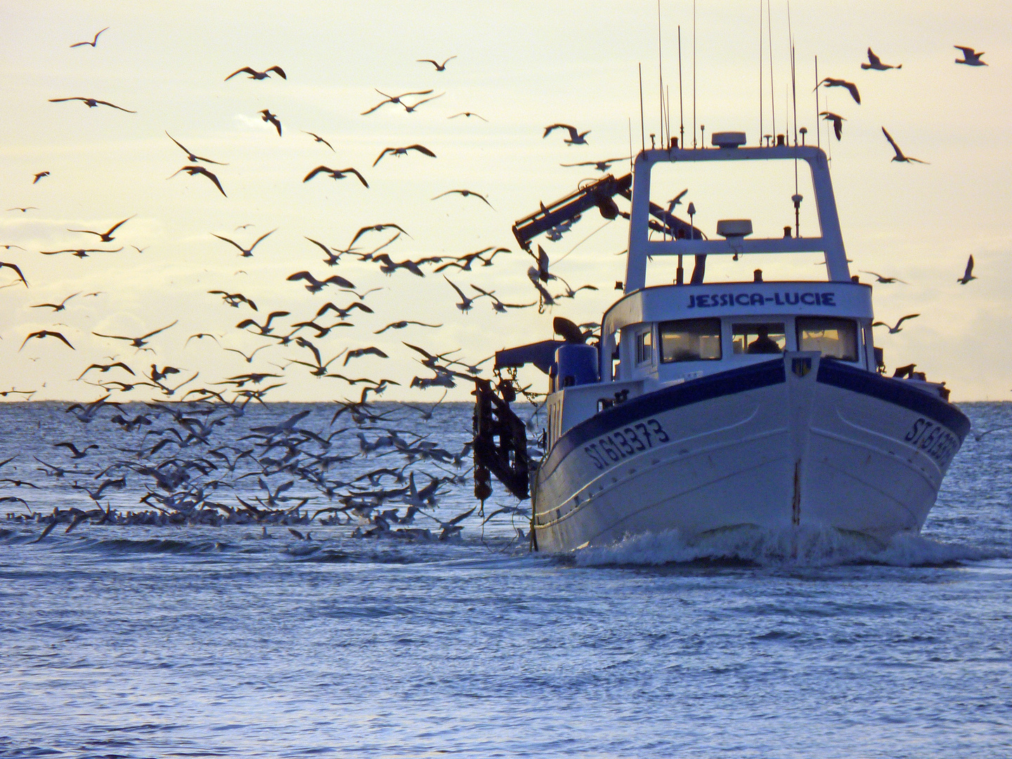 retour de pêche en mer ©