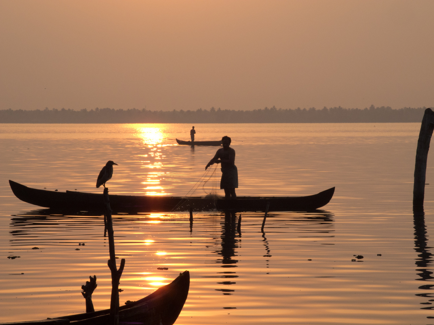 Retour de pêche, Lac Vembanad, Kerala, Inde