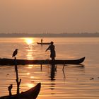 Retour de pêche, Lac Vembanad, Kerala, Inde