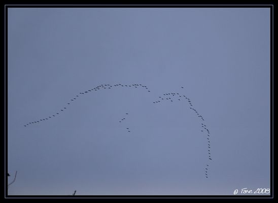 Retour de vacances...