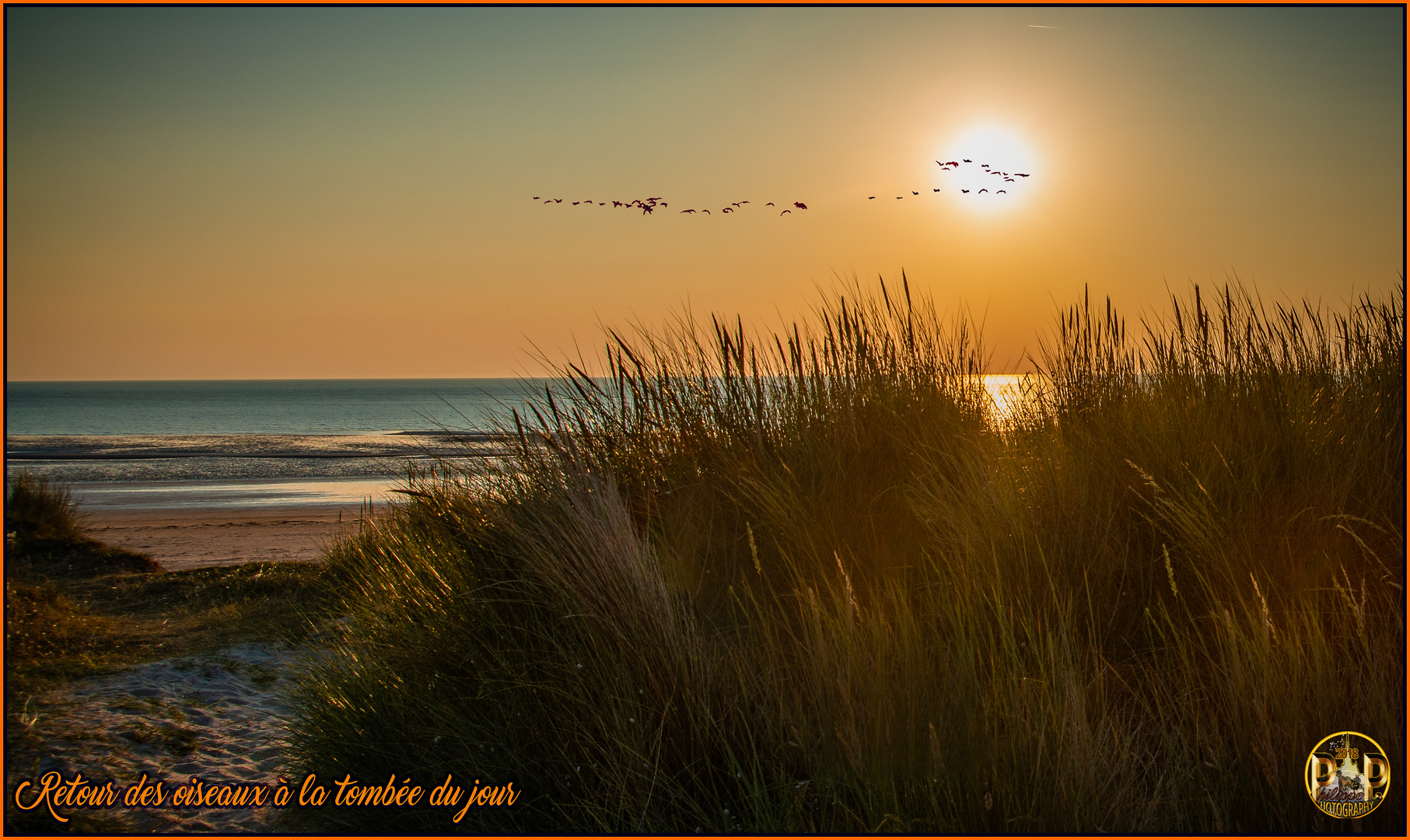 Retour des oiseaux