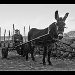 Retrato de familia