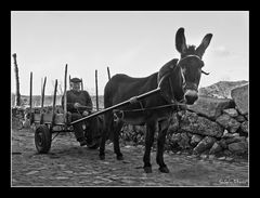 Retrato de familia