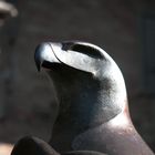 retrato de regia águila